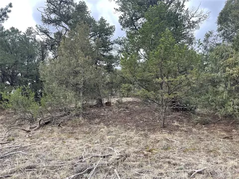 00 L Path, Cotopaxi, CO 81223 photo 9