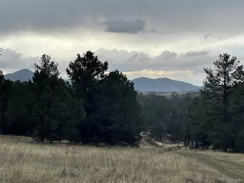 00 L Path, Cotopaxi, CO 81223 photo 6