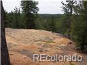 4879 County Road 5, Divide, CO 80814 photo 5