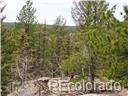 4879 County Road 5, Divide, CO 80814 photo 2