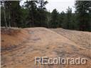 4879 County Road 5, Divide, CO 80814 photo 4