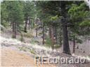 4879 County Road 5, Divide, CO 80814 photo 3