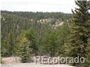 4879 County Road 5, Divide, CO 80814 photo 1