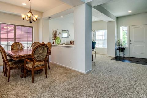 4847 Dunkirk St, Denver, CO 80249 photo 11