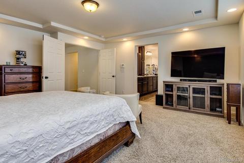 4847 Dunkirk St, Denver, CO 80249 photo 27