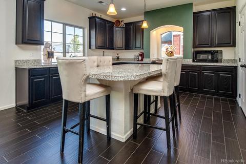 4847 Dunkirk St, Denver, CO 80249 photo 10