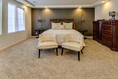 4847 Dunkirk St, Denver, CO 80249 photo 19