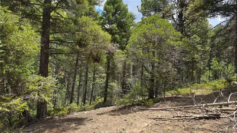 lot5540 Joy Rd, Fort Garland, CO 81133
