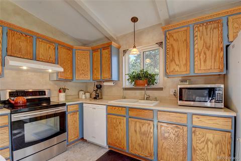 13284 S Cheyenne Ct, Pine, CO 80470 photo 13