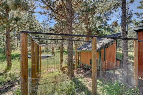 13284 S Cheyenne Ct, Pine, CO 80470 photo 28