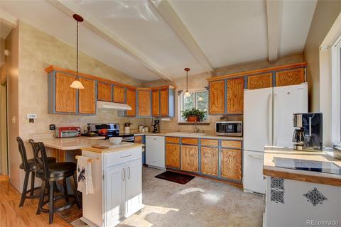 13284 S Cheyenne Ct, Pine, CO 80470 photo 12