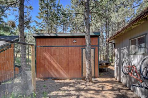 13284 S Cheyenne Ct, Pine, CO 80470 photo 29