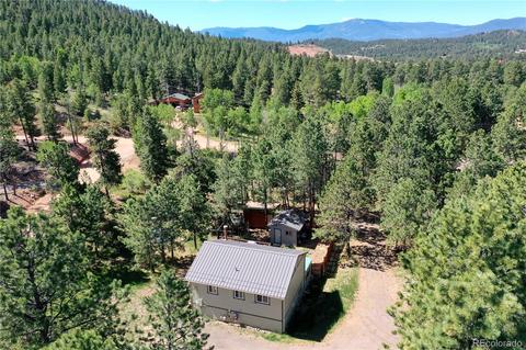13284 S Cheyenne Ct, Pine, CO 80470 photo 31