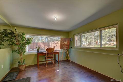 13284 S Cheyenne Ct, Pine, CO 80470 photo 23