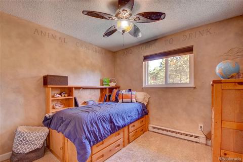 13284 S Cheyenne Ct, Pine, CO 80470 photo 18