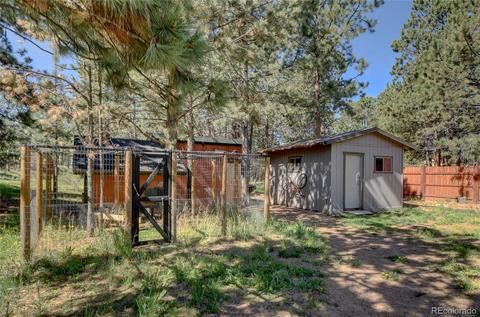 13284 S Cheyenne Ct, Pine, CO 80470 photo 7