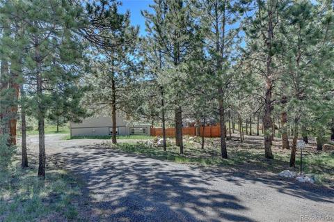 13284 S Cheyenne Ct, Pine, CO 80470 photo 9