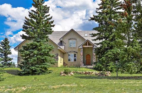 125 Matthew Rd, Divide, CO 80814 photo 1