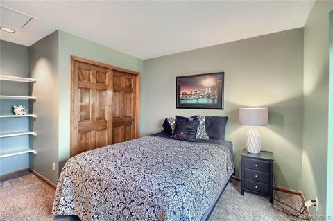 16701 E Berry Ln, Centennial, CO 80015 photo 26