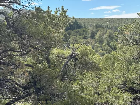338 Cedar Ridge Rd, Mosca, CO 81146 photo 9