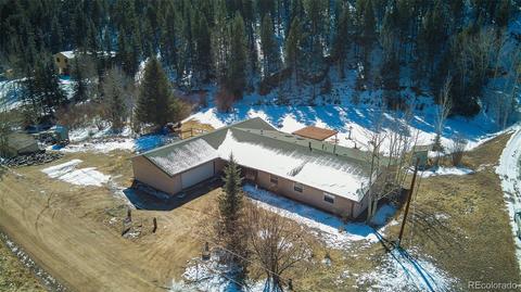 480 Brookside Dr, Bailey, CO 80421 photo 3