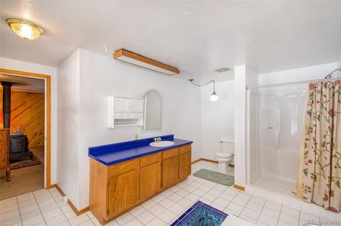 480 Brookside Dr, Bailey, CO 80421 photo 20