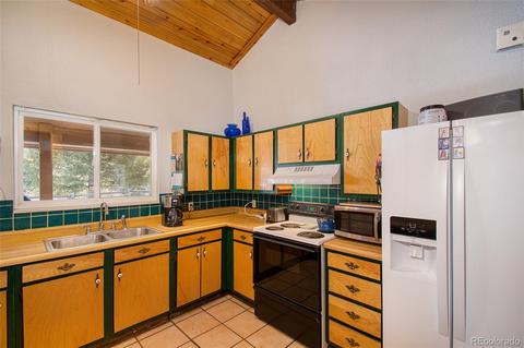 480 Brookside Dr, Bailey, CO 80421 photo 12