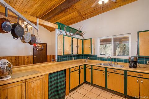 480 Brookside Dr, Bailey, CO 80421 photo 11