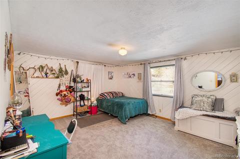 480 Brookside Dr, Bailey, CO 80421 photo 21