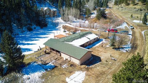 480 Brookside Dr, Bailey, CO 80421 photo 4