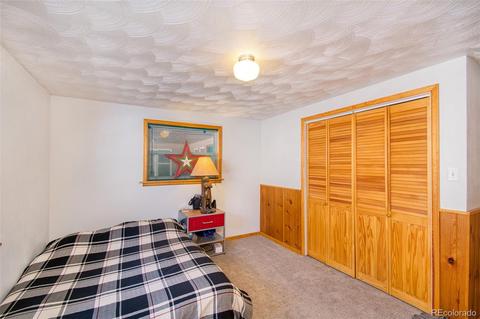 480 Brookside Dr, Bailey, CO 80421 photo 25