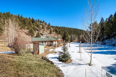 480 Brookside Dr, Bailey, CO 80421 photo 30