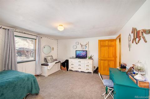 480 Brookside Dr, Bailey, CO 80421 photo 22