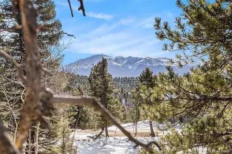188 Pike View Dr, Divide, CO 80814