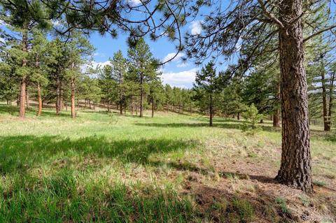 434 Hangmans Rd, Bailey, CO 80421 photo 9