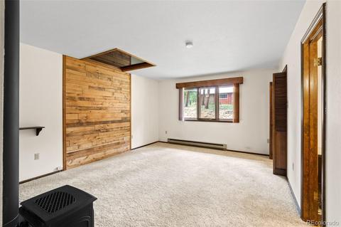 434 Hangmans Rd, Bailey, CO 80421 photo 24