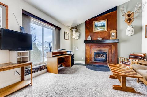 4623 S Devinney St, Morrison, CO 80465 photo 5