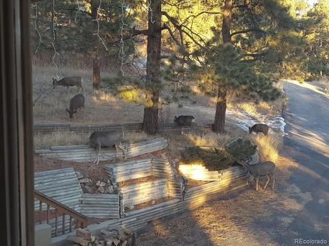 6417 High Dr, Morrison, CO 80465 photo 3