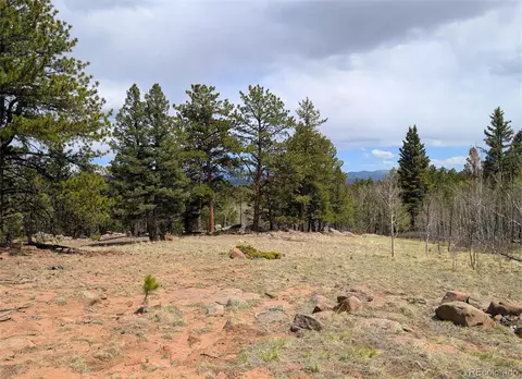 43 Spanish Bit Dr, Lake George, CO 80827