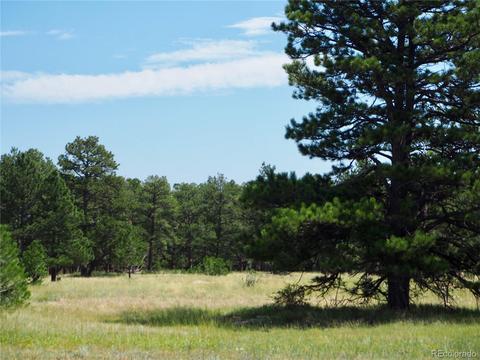 22376 Eagle Dr, Elbert, CO 80106 photo 2