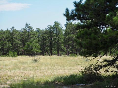 22376 Eagle Dr, Elbert, CO 80106 photo 8