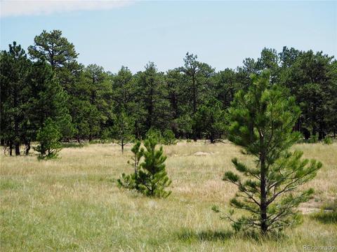 22376 Eagle Dr, Elbert, CO 80106 photo 7
