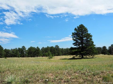 22376 Eagle Dr, Elbert, CO 80106 photo 4