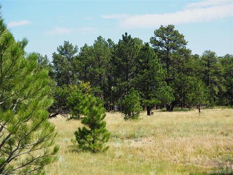 22376 Eagle Dr, Elbert, CO 80106 photo 1