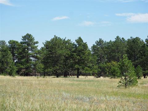 22376 Eagle Dr, Elbert, CO 80106 photo 3