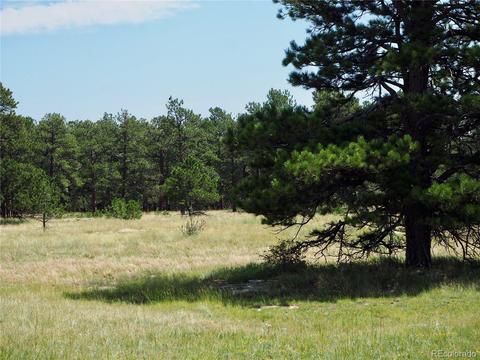 22376 Eagle Dr, Elbert, CO 80106 photo 6