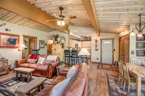 26062 Nelson Ave, Conifer, CO 80433 photo 6