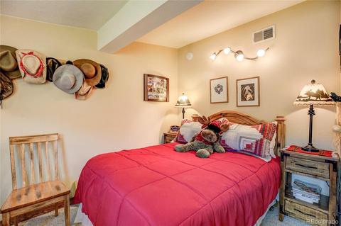 26062 Nelson Ave, Conifer, CO 80433 photo 21