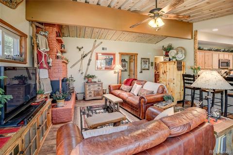 26062 Nelson Ave, Conifer, CO 80433 photo 7