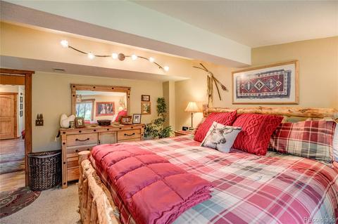 26062 Nelson Ave, Conifer, CO 80433 photo 18